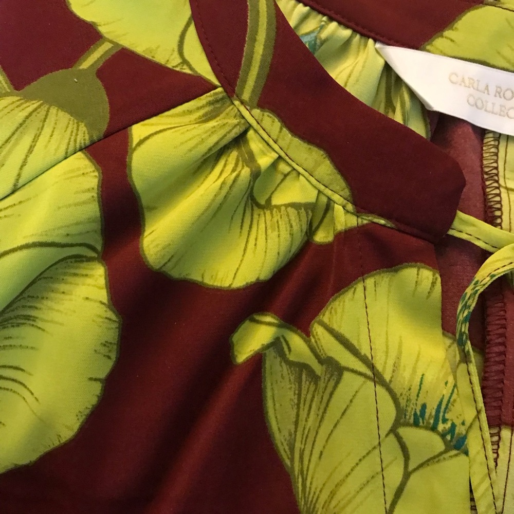 Carla Rockmore NWOT Maxi Dress Exotic Black Cherry Lime 2XP Feminine Chic Silky - Picture 3 of 7